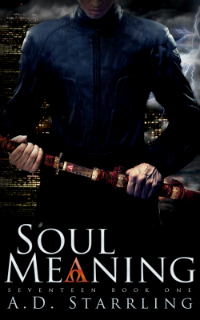 Soul-Meaning Cover
